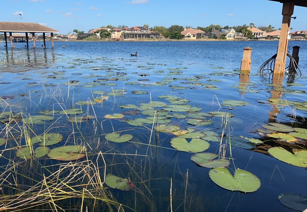 Sand Lake Dock 