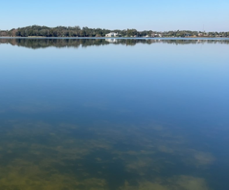 Lake Mann 