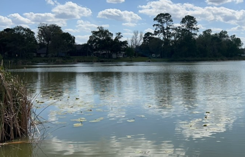 PR25-21-Blue-Green-Algae-CAUTION-Lake-Pearl-Park-Dock-Mar-2025.png