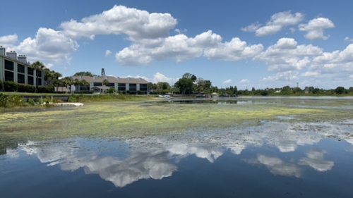 Lake Fairview