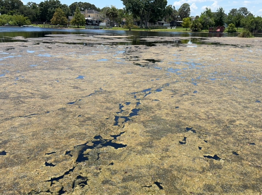 Lake Gear