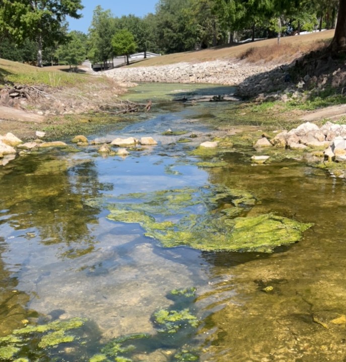 Little Wekiva River