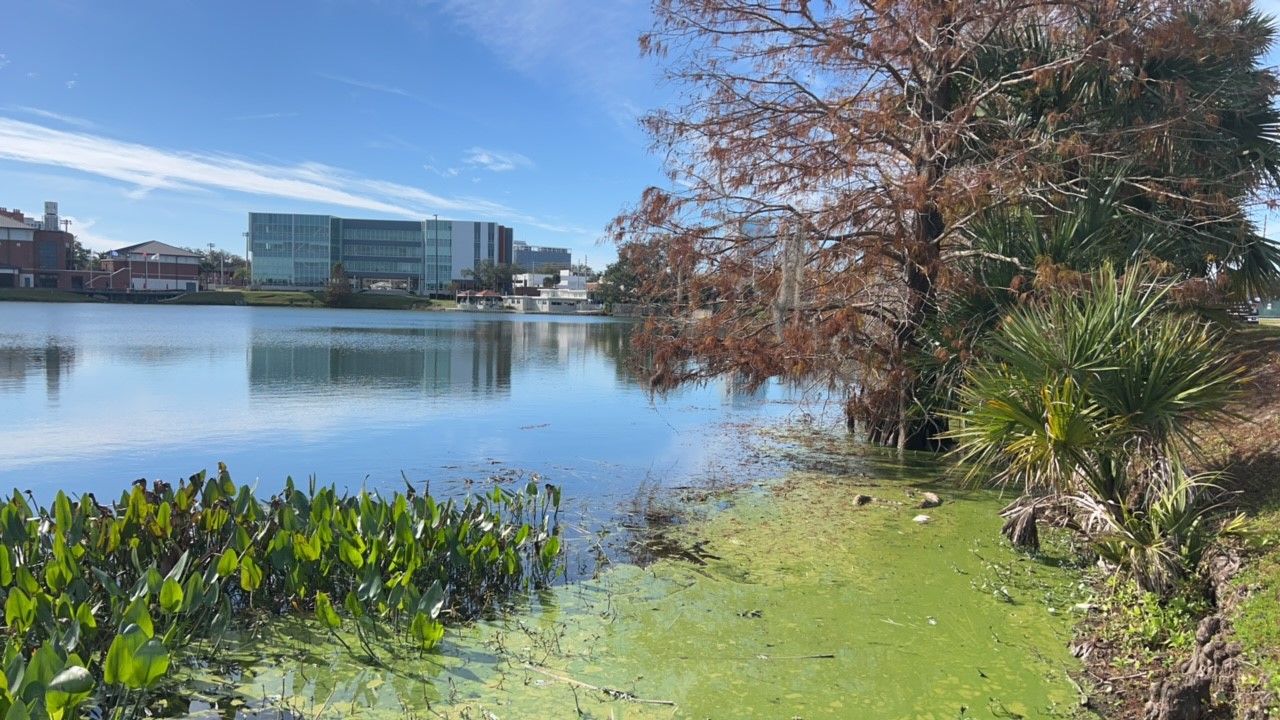 Lake Highland