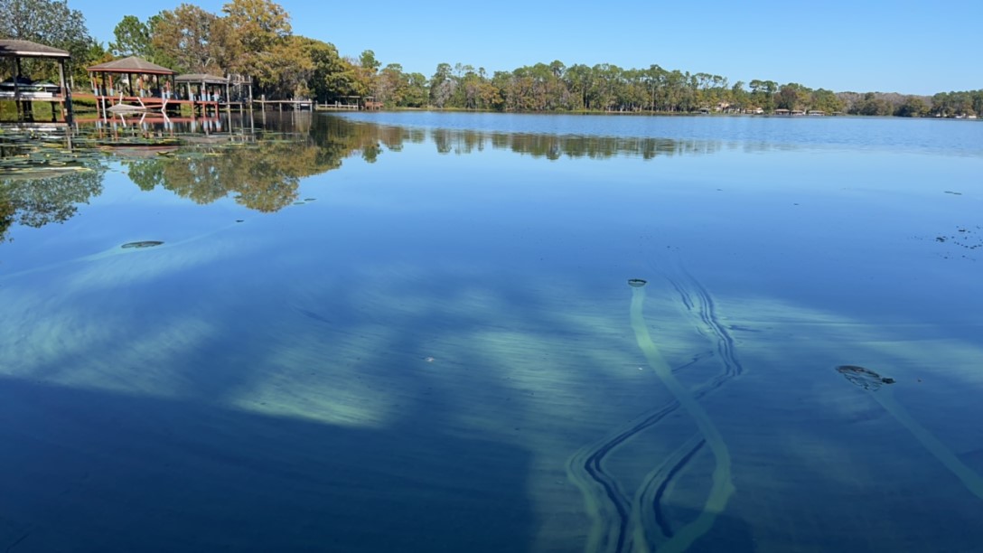 Health Officials Issue Blue-Green Algae Bloom Alert for Osceola County