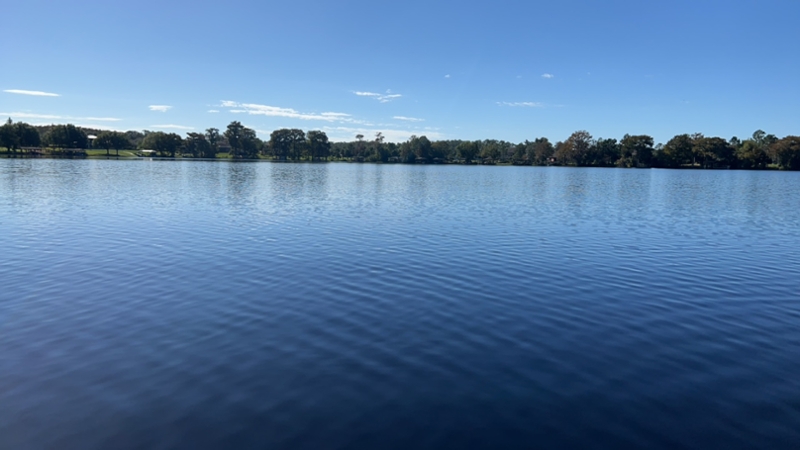 Lake Drawdy - Center Bloom