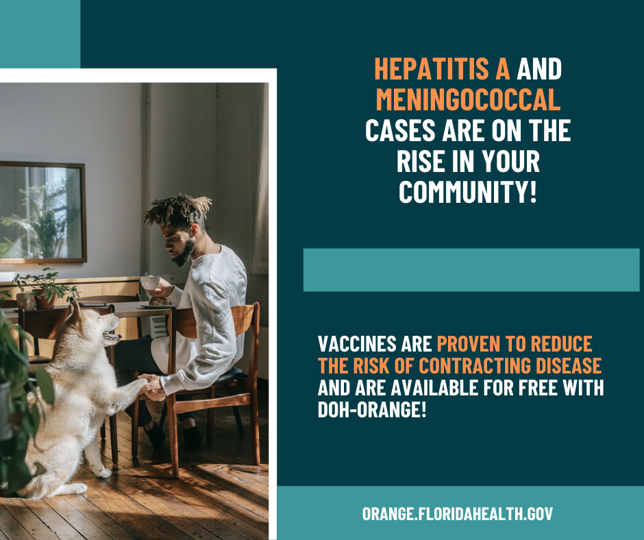 can hepatitis in dogs be passed to humans