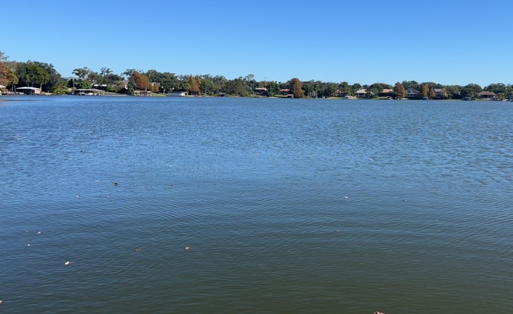 Blue Green Algae CAUTION Lake Gatlin dec2025