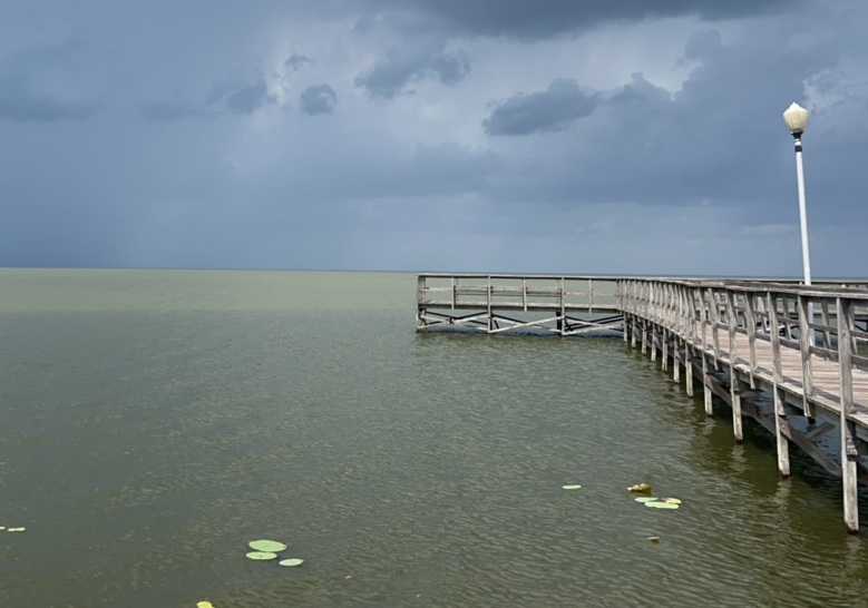 Blue Green Algae CAUTION Lake Apopka newton park dock mar2026
