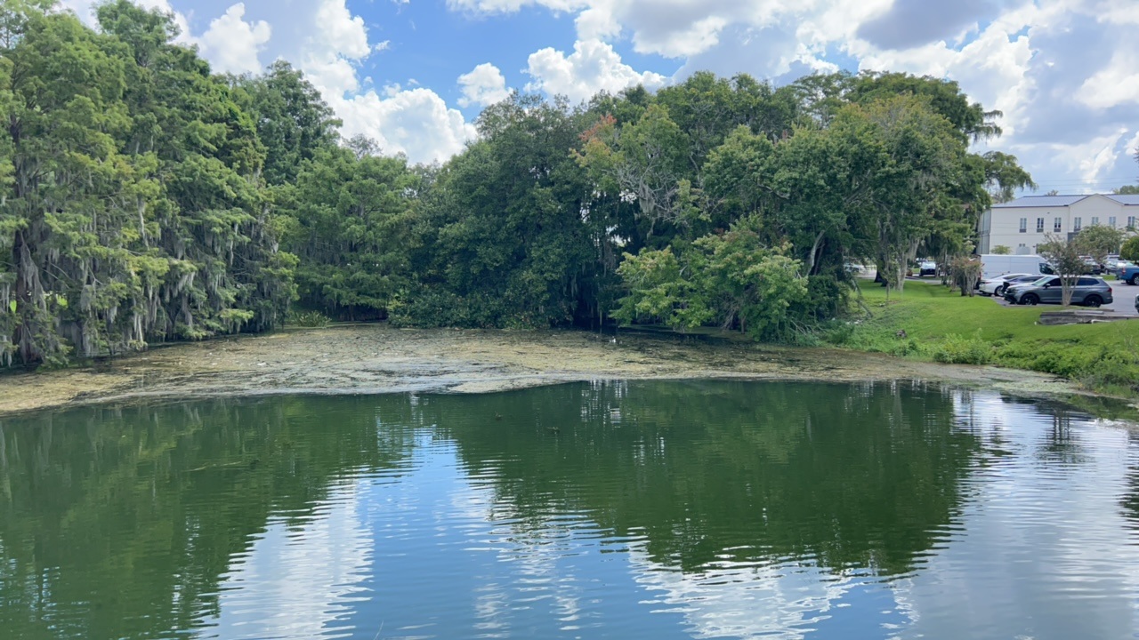 Image of lake
